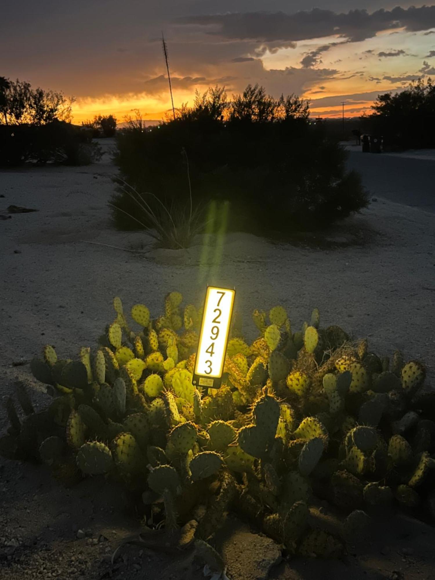 Bodhi House, Joshua Tree National Park Vandrerhjem Twentynine Palms Eksteriør bilde